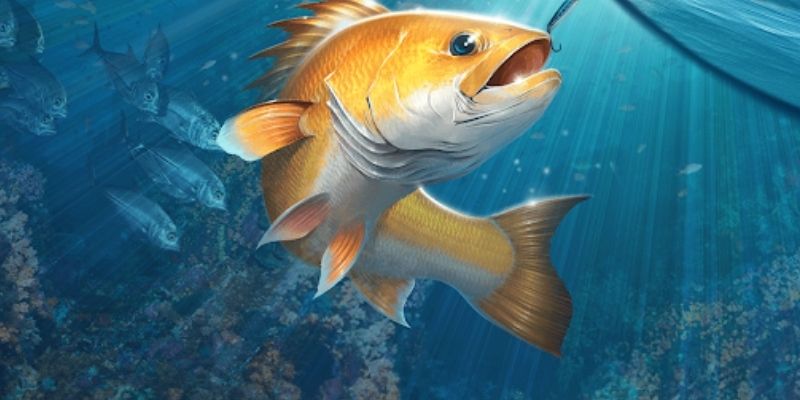 Cập nhật xu hướng bắn cá mới 58WIN đã mang lại nhiều lợi ích đáng kể